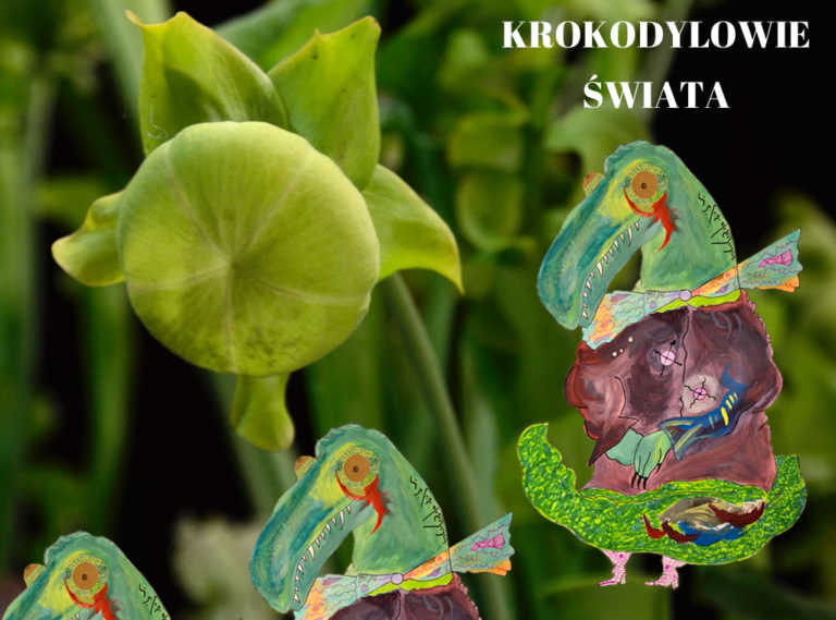 Krokodylowie świata