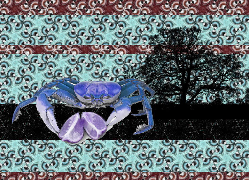 krab